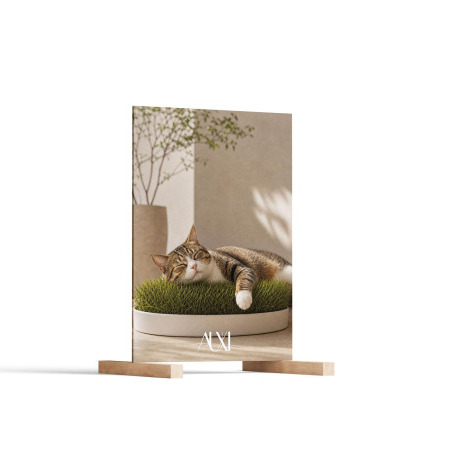 Auxi 展覽活動背板